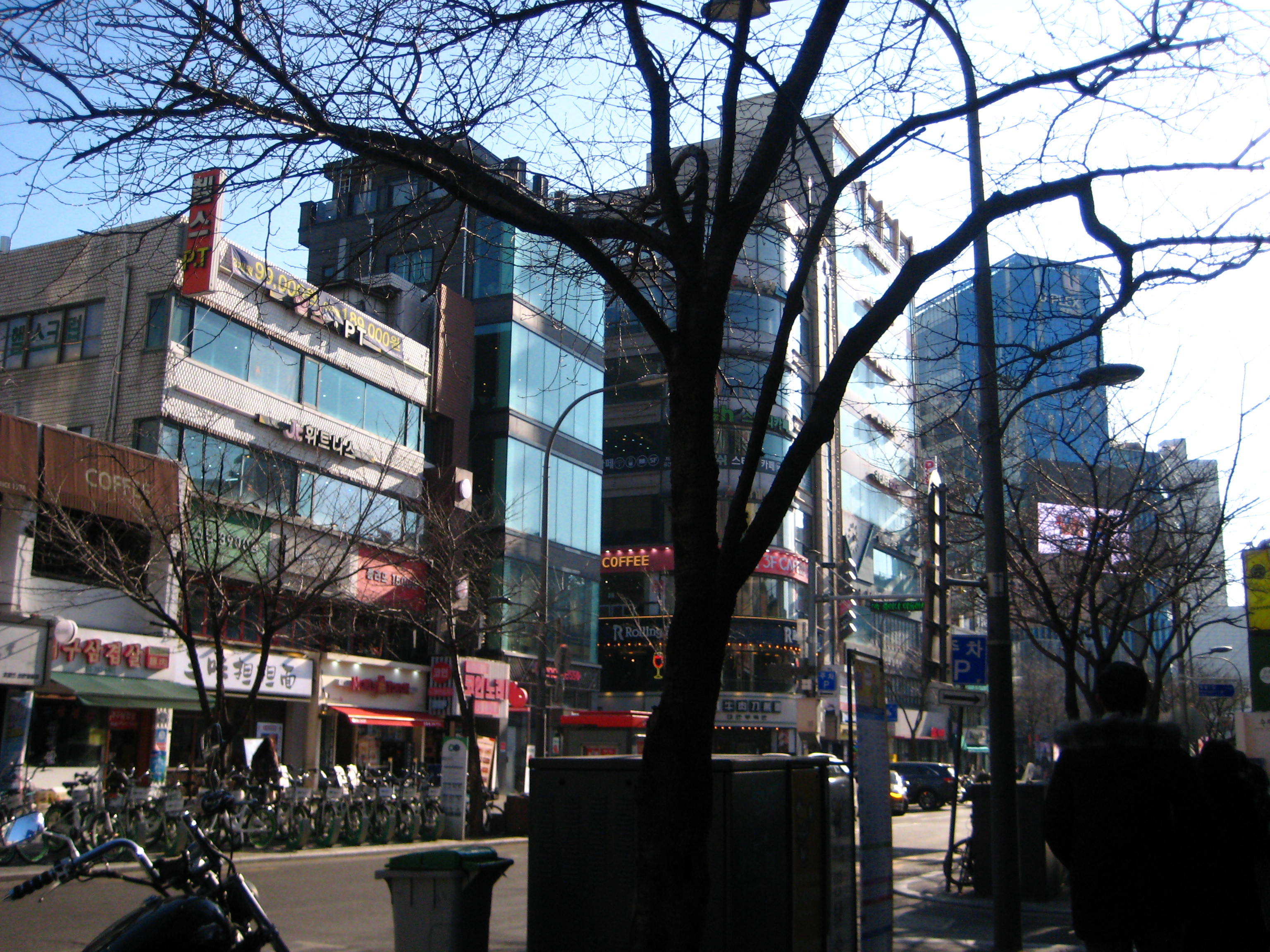 picture of many buildings around a square with a large tree in the middle of the square