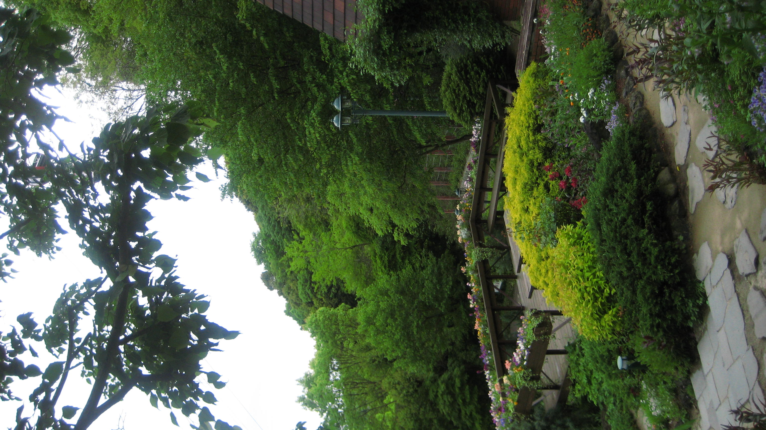 picture of a  bright green, beautiful garden
